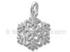 Crystal in Snowflake Charm