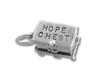 Openable Hope Chest Charm