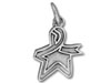 Awareness Ribbon Star Charm