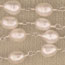 White Oval Fresh Water Pearl
