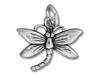 Hollow Dragonfly Charm
