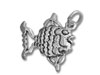 Angel Fish Charm