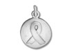 Awareness Ribbon Disc Charm