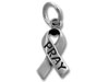 "Pray" Awareness Ribbon Charm