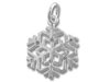 Crystal in Snowflake Charm