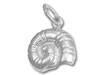 Nautilus Shell Charm