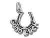 Silver Good Luck Horseshoe Charm