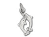 Two Jumping Dolphins Charm