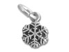 Sterling Silver Small Snowflake Charm