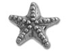 Large Star Bead