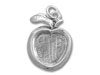 Apple Photo Frame Charm