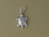 Silver Turtle Charm