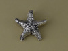 Silver Large Starfish Slider