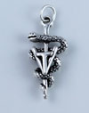 Vet Technician Charm
