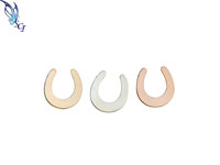 Medium Horseshoe Blank