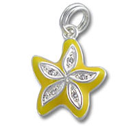 Sterling Silver Enamel Star Charm