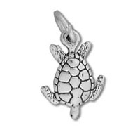 Sea Turtle Charm