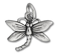 Hollow Dragonfly Charm
