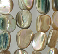 Abalone Shell Strand