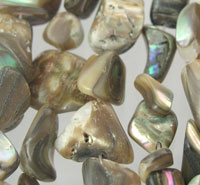 Abalone Shell Strand