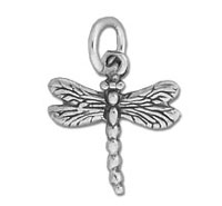Dragonfly Charm