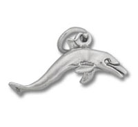 Bottlenose Dolphin Jumping Charm