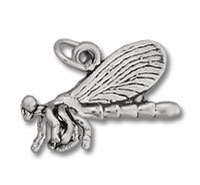 Dragonfly Charm