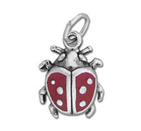 Enamel Lady Bug Charm