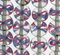 Lite Pink and Lite Blue Awareness