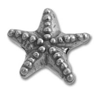 Large Star Bead