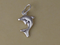 Silver Dolphin Charmv