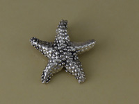 Silver Large Starfish Slider