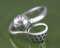 Basketball Hoop Adjustable Ring