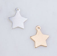 Large Star Design Stamping Blank