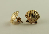 Gold Filled Seashell Stud Earrings