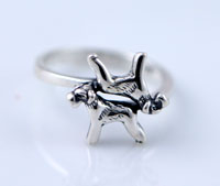 Schnauzer Dog Ring