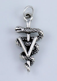 Veterinary Symbol Charm