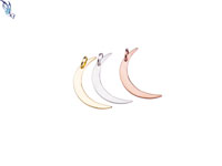 Small Crescent Moon Pendant