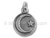 Silver Moon and Star in Disc Charm