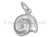 Nautilus Shell Charm