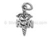 Silver Registered Nurse Charm