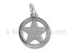 Star in Circle Charm