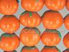 Pumpkin Orange Glass Beads