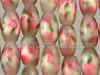 Floral Oval Glass Beads