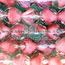 8mm Faceted 2 Tone