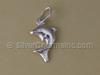 Silver Dolphin Charmv
