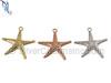 Large Starfish Charm