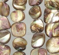 Balone Shell Mother of Pearl